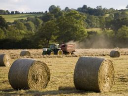 Farming in the Cotswolds