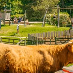 Adam Henson Farm Park