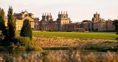 Blenheim Palace has provided the setting for a number of major films in the Cotswolds.