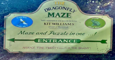 Dragonfly Maze in Bourton-on-the-Water