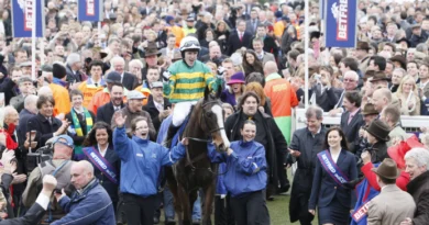 Horse racing and the Cheltenham Gold Cup