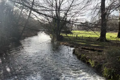 Best Time to Visit the Cotswolds