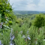 Visit Wotton-under-Edge in the Cotswolds